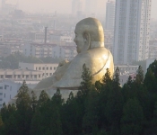 China007